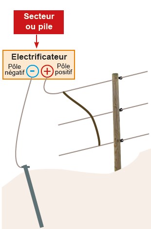 1 Paire De Pinces De Connexion Pour Clôture électrique - 1 Pince Terre Et 1 Pince Clôture
